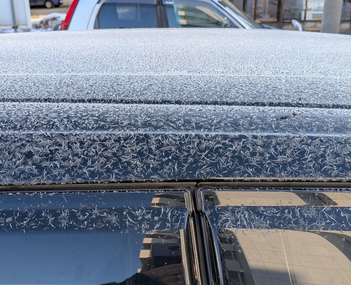 tktt's tweet image. 昨日の朝の霜と結晶。