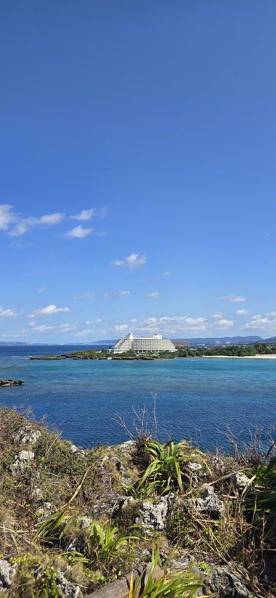 겨울 오키나와 다녀왔어요🌴
참 좋아요....