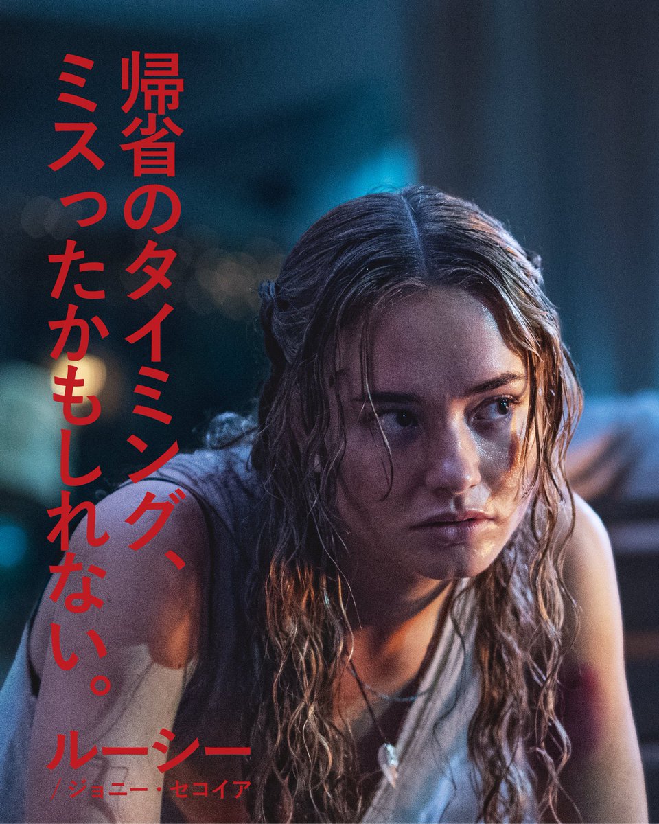 汎用性が高い❗️