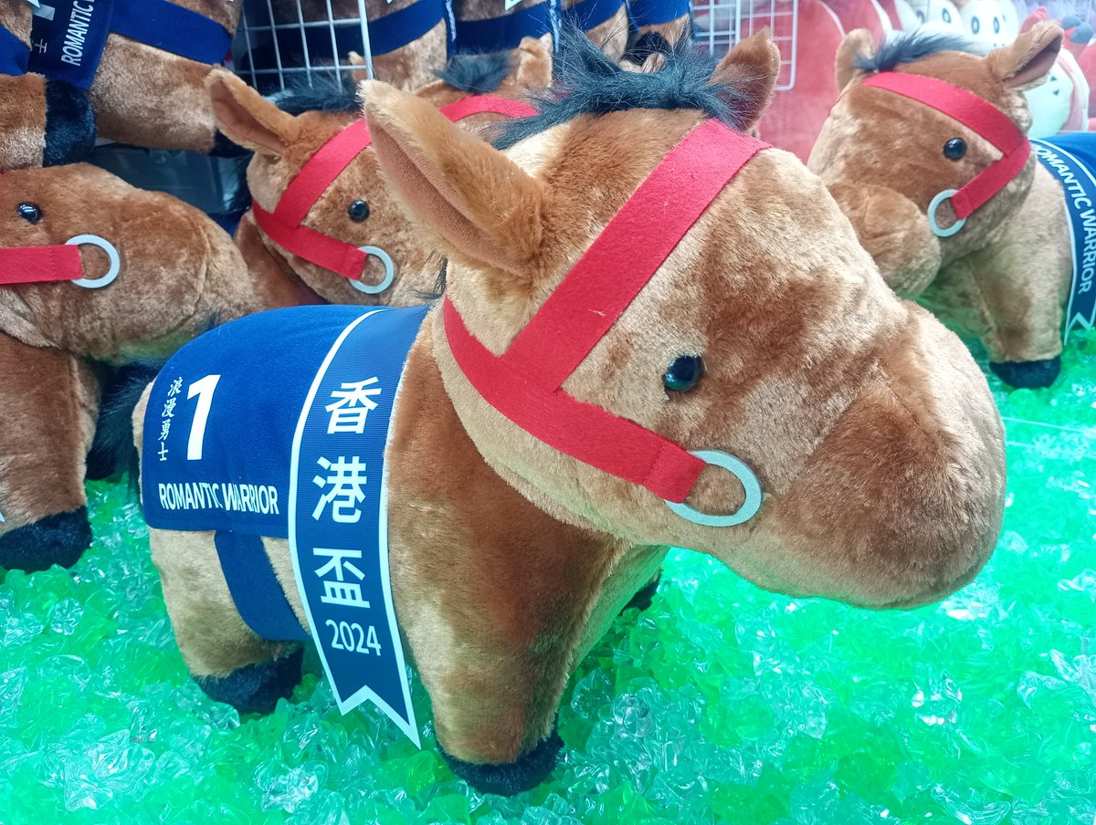 ロマンチックウォリアー香港カップver 安田記念ver セット 