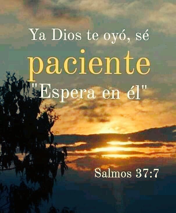 Bibliaenlinea's tweet photo. https://t.co/CzoKW68XKf