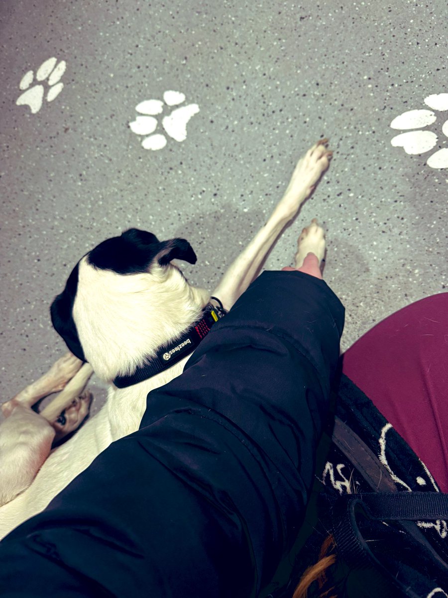 Daan ღ tweet media