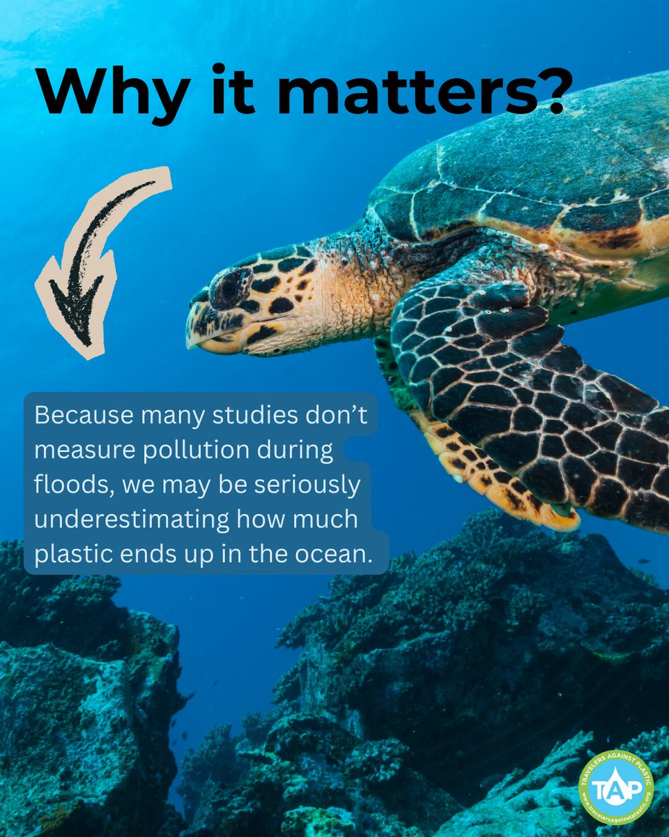 Travelers Against Plastic tweet media