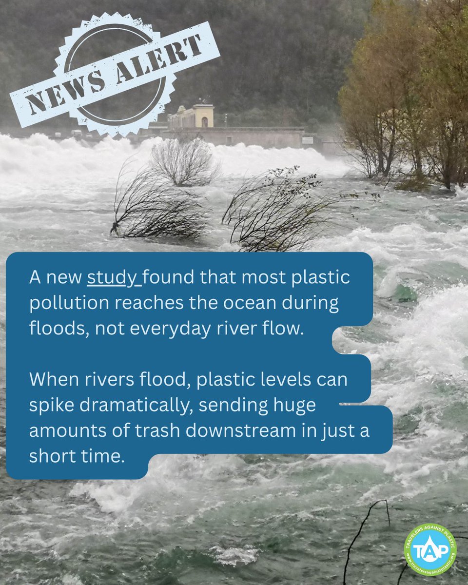 Travelers Against Plastic tweet media