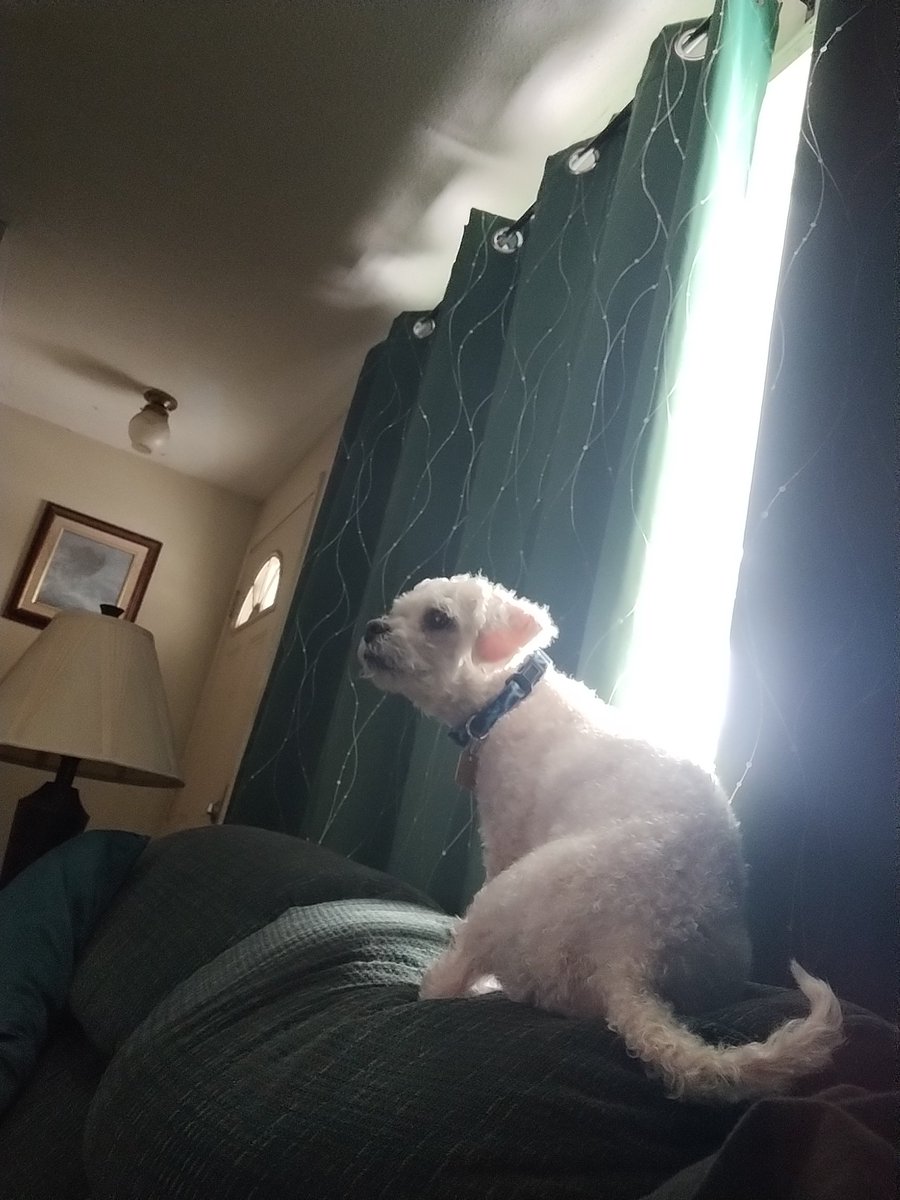 Chris Hardman🇨🇦 tweet media