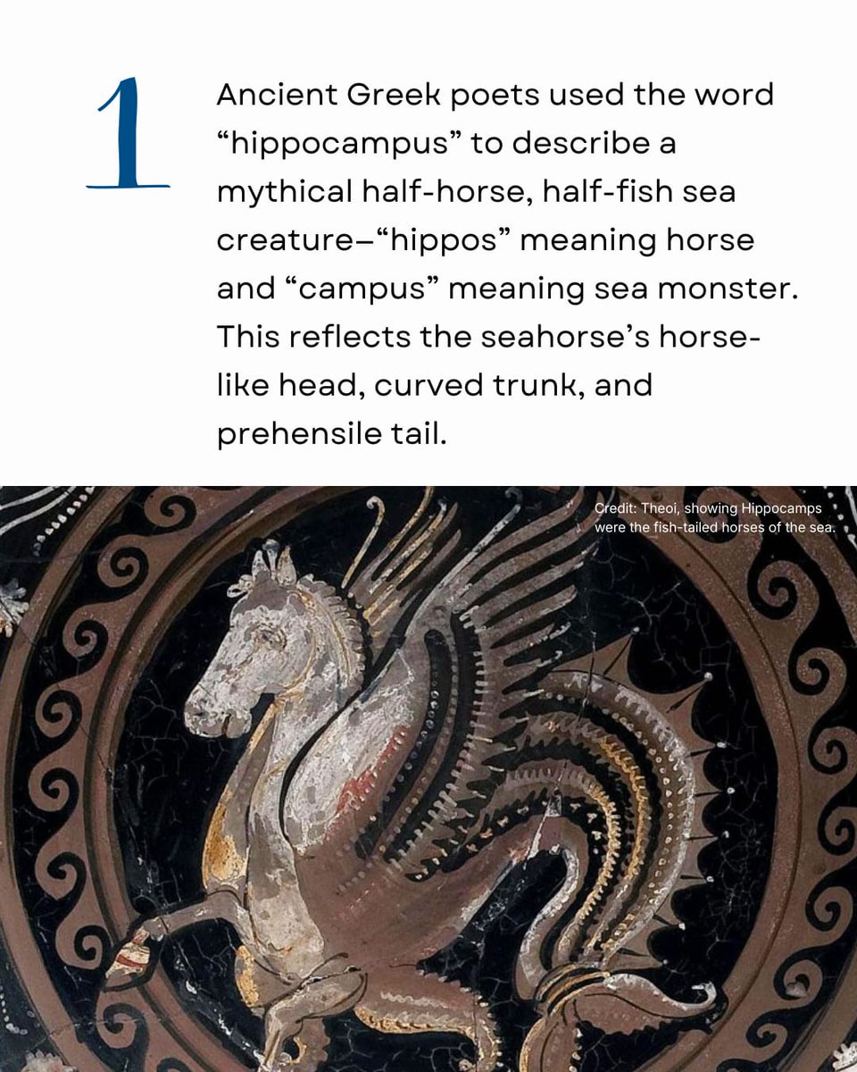 InSeason Fish tweet media