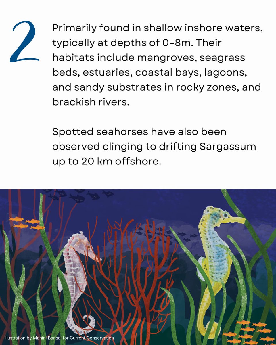 InSeason Fish tweet media