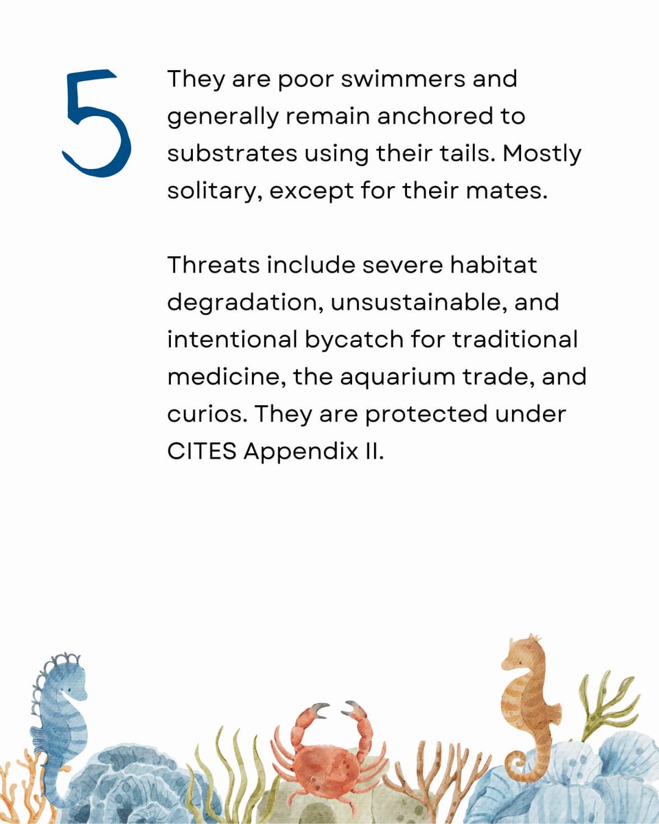 InSeason Fish tweet media