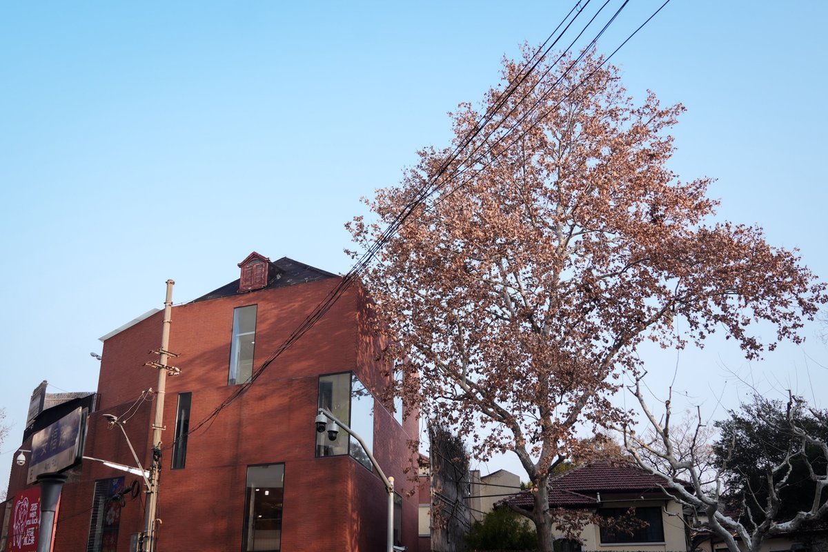 nyushanghai's tweet image. At NYU Shanghai, language learning happens through exploring the city and connecting with Shanghai history.
Professor Beilei Gu led students from her Shanghai Architecture for Chinese Language Learners course through neighborhoods connected to the former residences and visits of…