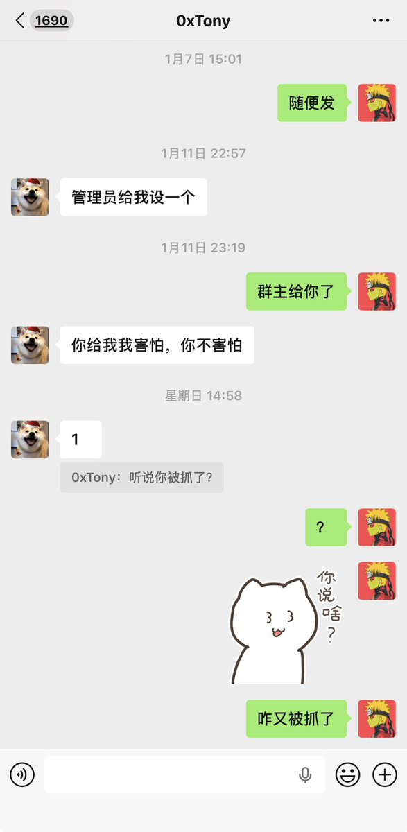 比特肥 || Bitfatty (🍀,🍀) tweet media