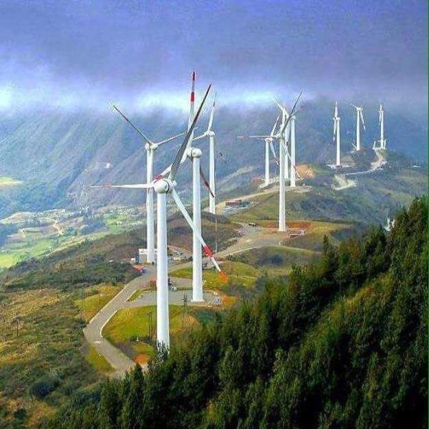 César Costa tweet media