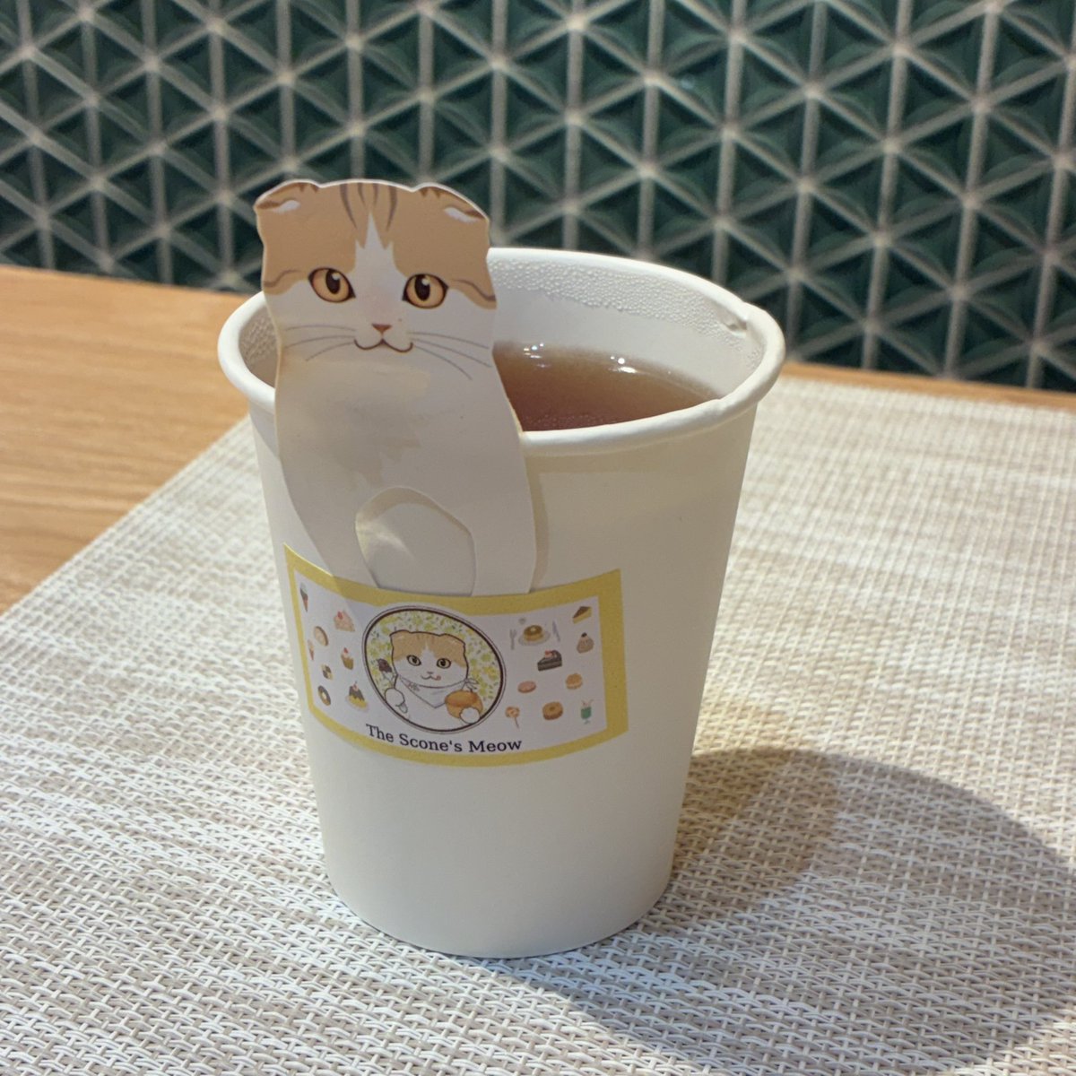 ocean_teabag's tweet photo. 明日本番へ向けてプレオープンしました！
お客さんは・・・来ないですねきっと
4時半頃までいる予定です。 https://t.co/lZR4xnuZDX