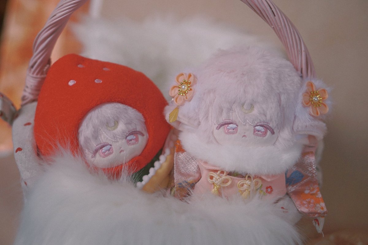 BabyTiti tweet media