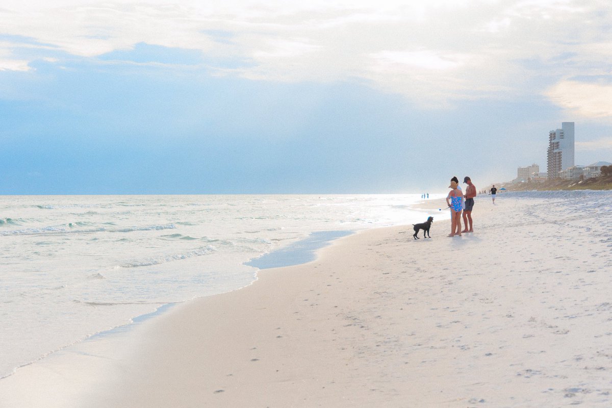 andreagarza's tweet photo. Florida. Driving hey 30A so much beauty. 
#photography #shotoncanon https://t.co/EbPRIxJLuS