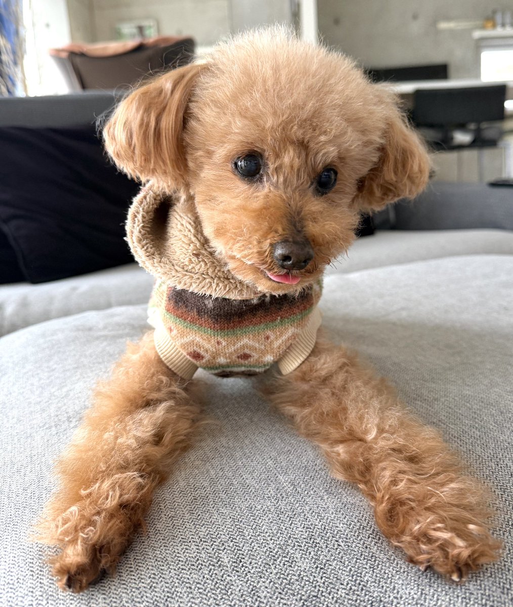 花まま (@hanamama_115_2) / Posts and Replies / X