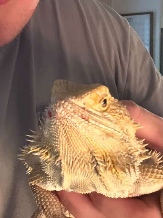 Ben Peirce tweet media