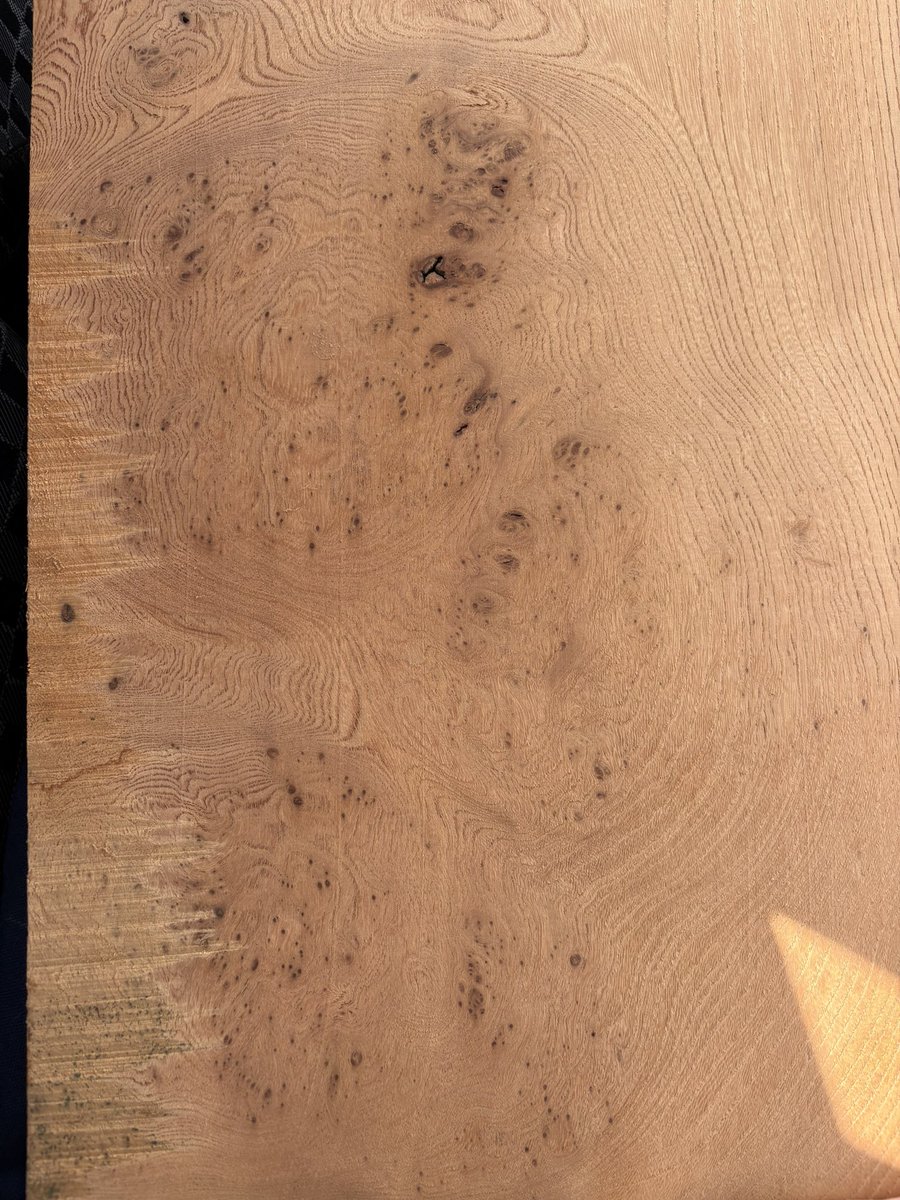 今日はケヤキづいてるな
珍しくケヤキしか買ってない笑