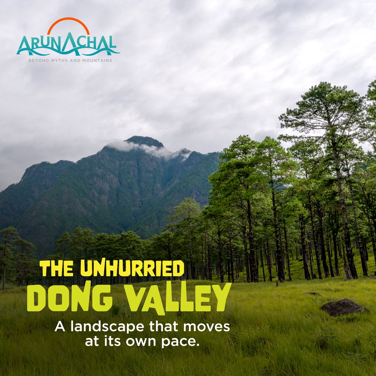 ArunachalTsm's tweet photo. Green meadows, grazing cattle, and skies that feel closer than usual. Dong Valley unfolds gently, offering a quiet escape into nature and everyday mountain life.
#DongValley #NatureInArunachal #HiddenValleys https://t.co/bZNW4Le3MO