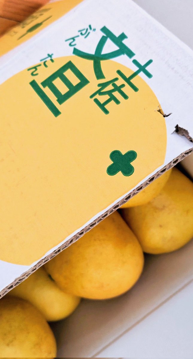 mayu。 (@xx_mayu_xx) / Posts / X