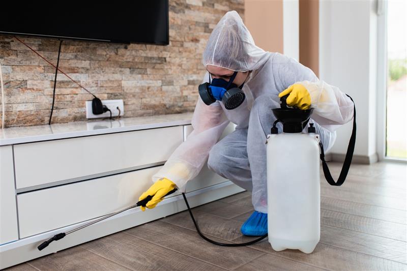 Pests silently destroy your home. Pest control in North Shore catches issues early, saves your home and money. Schedule inspection today for a pest-free home.

Read More: shorturl.at/jtLc5

#pestcontrol #pestcontrolservice #pestmanagement #pestcontrolexperts