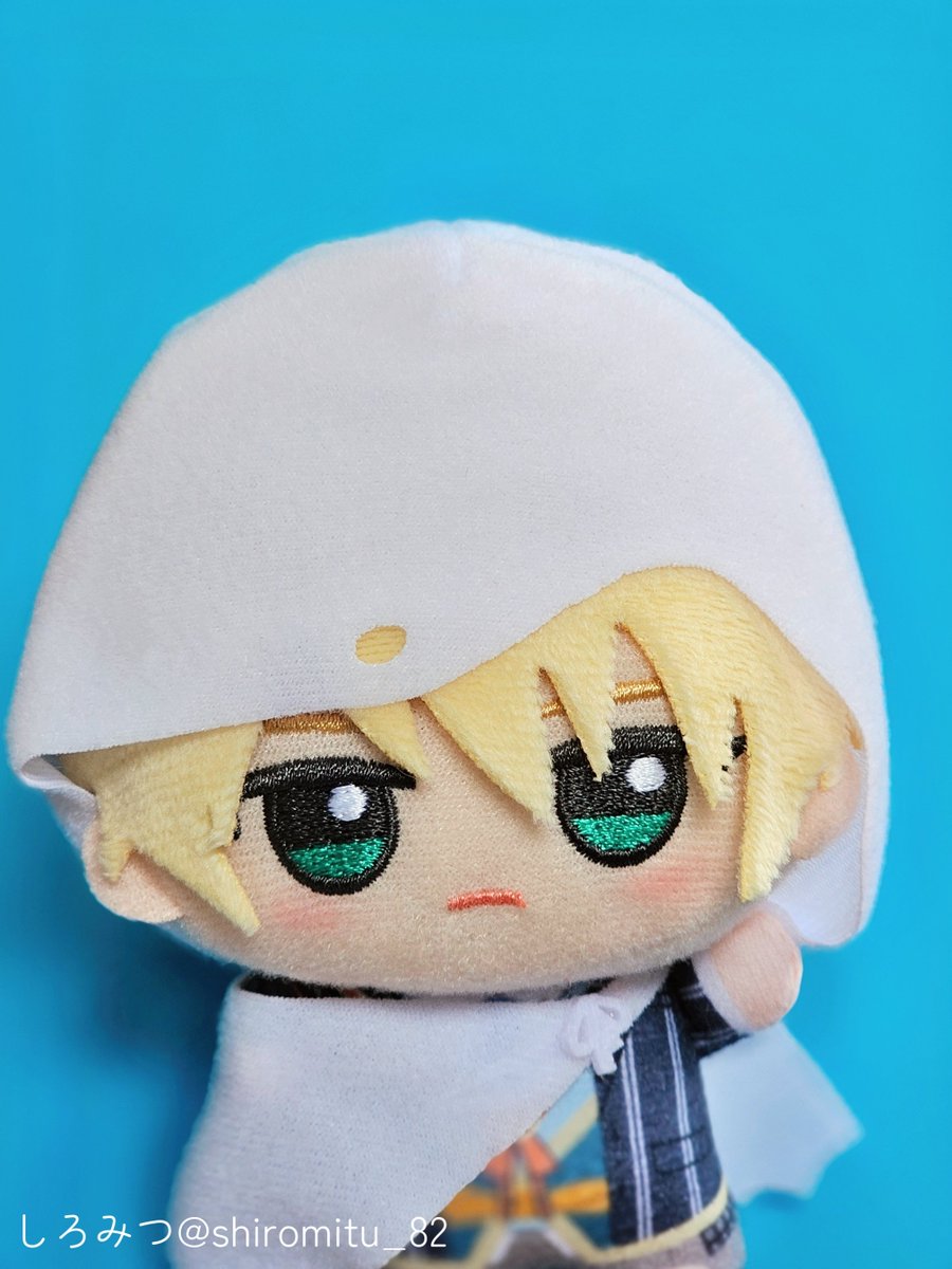 ちょっと見たいと思ったので証明写真を撮りました