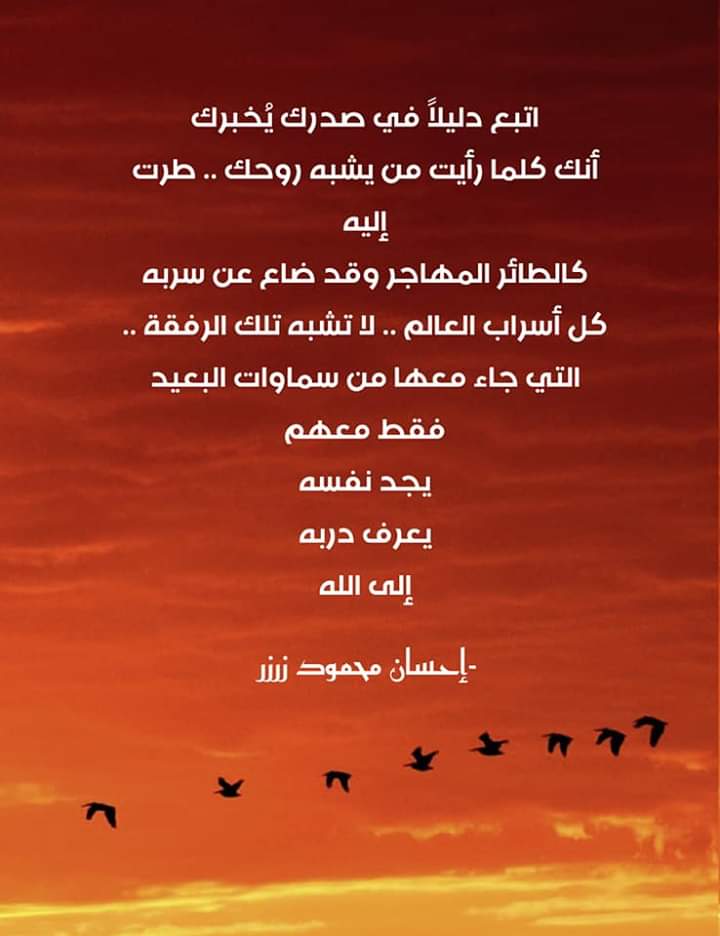 إحسان محمود زرزر (@ihsanzarzar) on Twitter photo 