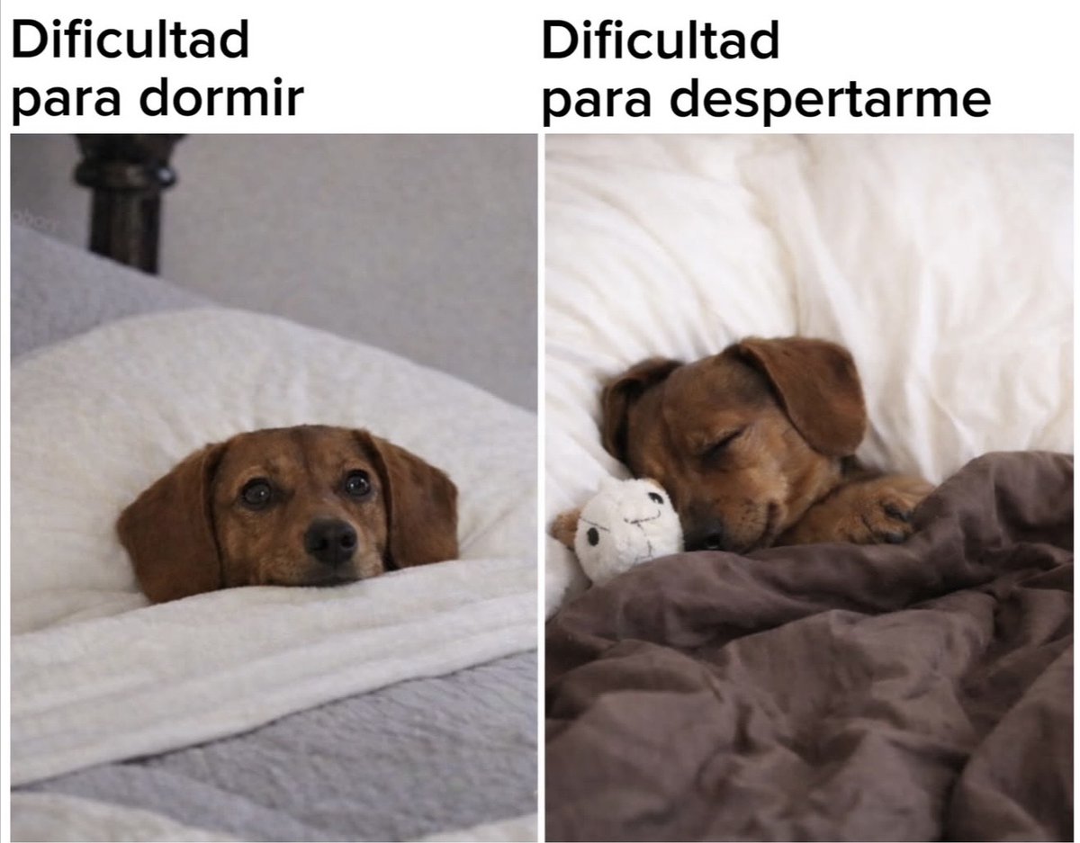 Mis dos grandes debilidades.