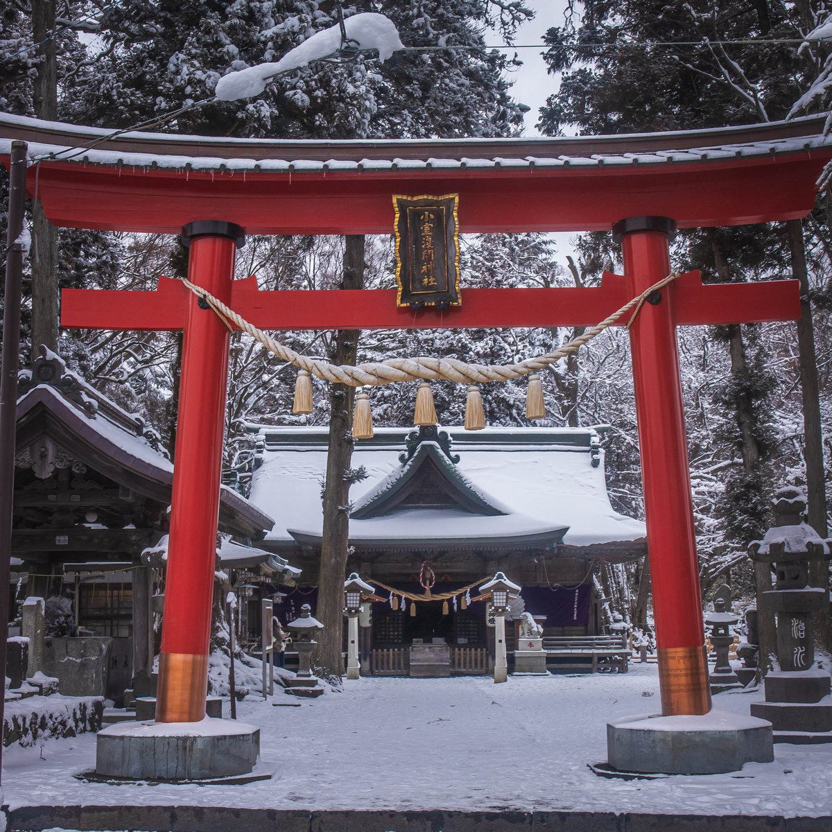 凛とした冬の朝を迎えて