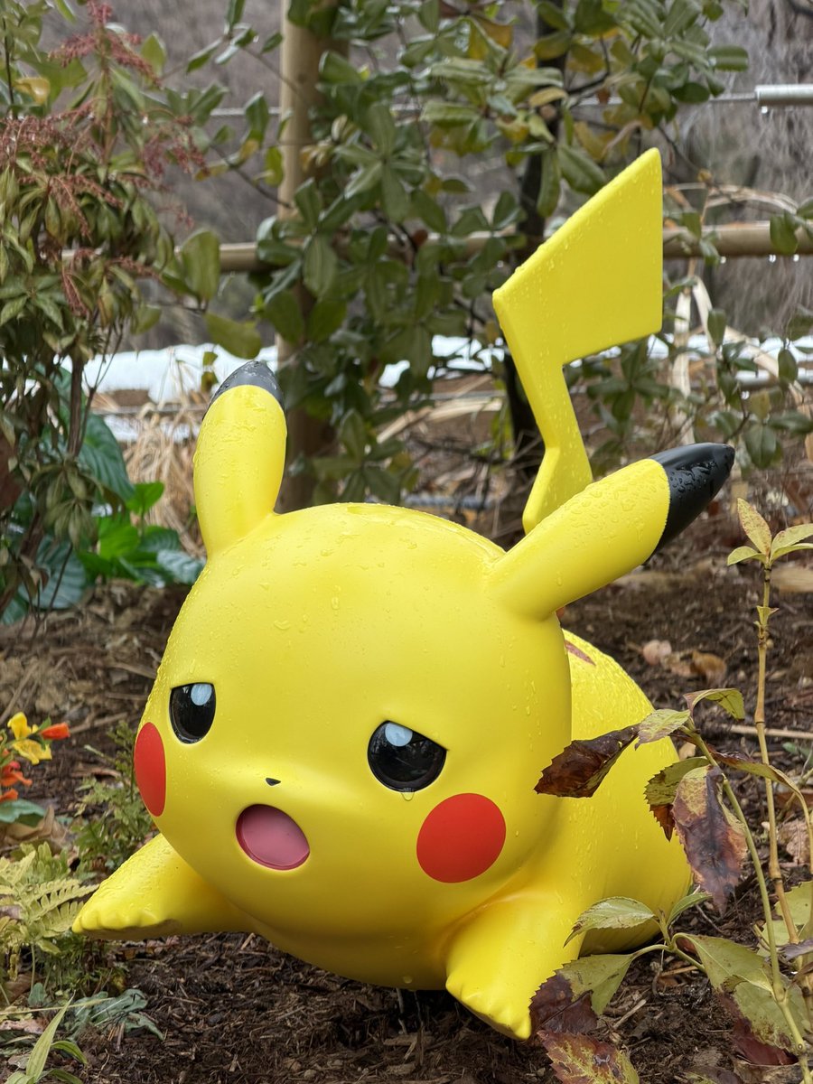 ゆきうさぎ (@snow_rabbit0v0) / Posts / X