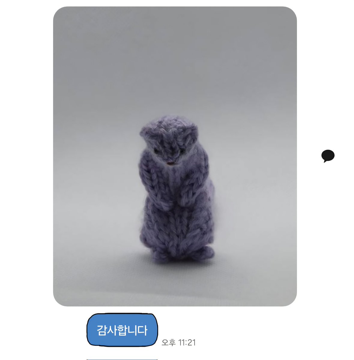 입양간 뜨족제비한테 카톡 왔어🥹🥹