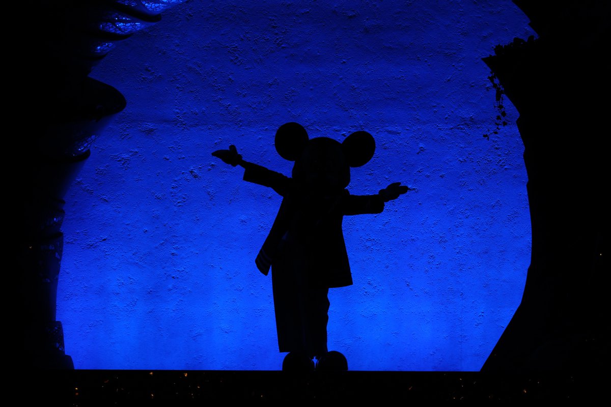 sukeume_disney's tweet photo. やっと夜回観れた https://t.co/tDsz1z5jsS