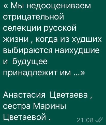 AndreySmetanen6 tweet picture