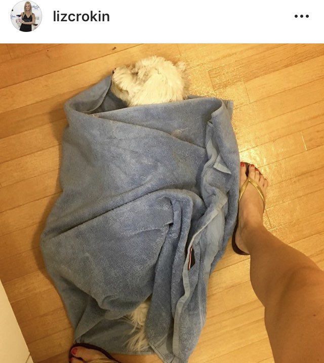 When they try to murder your puppy, there’s something in your DNA that activates you on a level you have never been at before assuming you’re not one of them. 

I was that person. 

They mother fucking fuck’d around &amp; they’re JUST beginning to find out. 

You tried to kill puppy