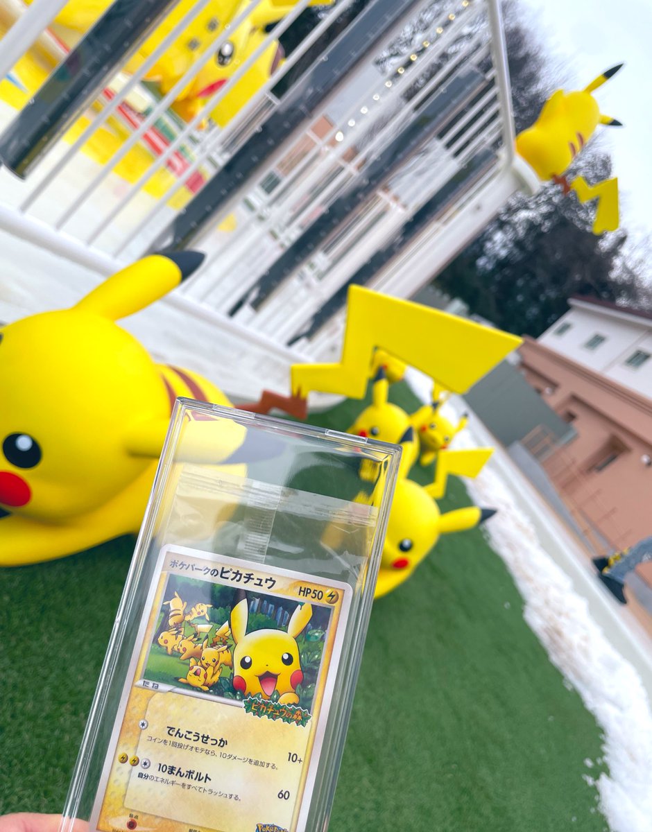 ピカピカパラダイスも ピカピカスパークスも 号泣なんだけど、うちの子