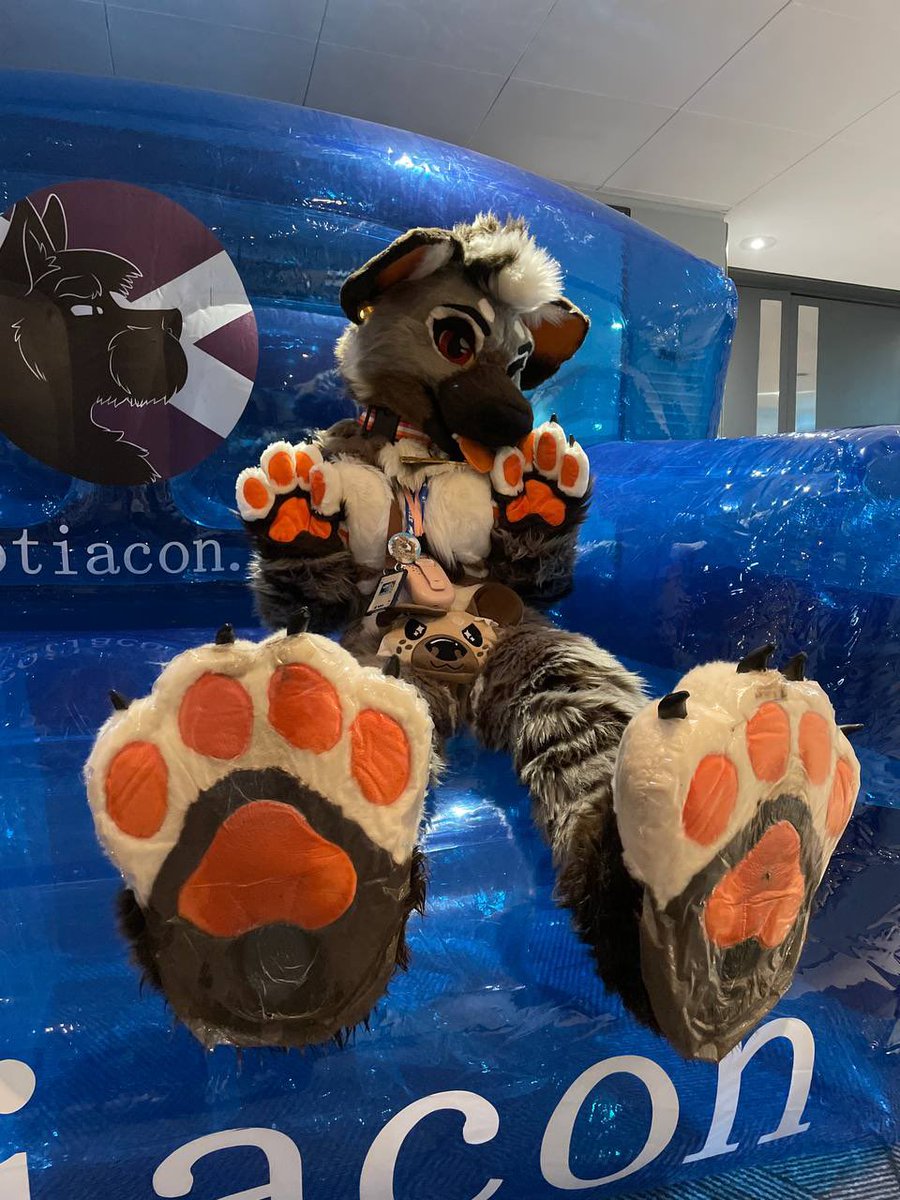 KatsyOfficial's tweet photo. I was mini Jaffa at #scotiacon2026 all of Sunday &amp; Monday evening! X3
Many photographers mentioned you only post here so send any photos/vids of us our way! 
Character &amp; Owned by @sodayeena 🍊
#scotiacon #hyenafurry https://t.co/JuvPSZeArR