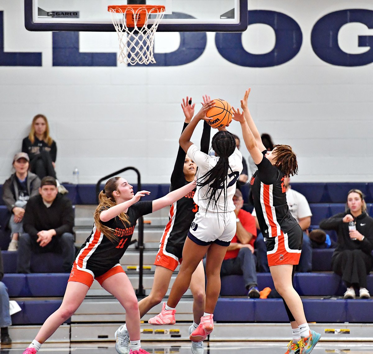 Dawn J. Sagert tweet media