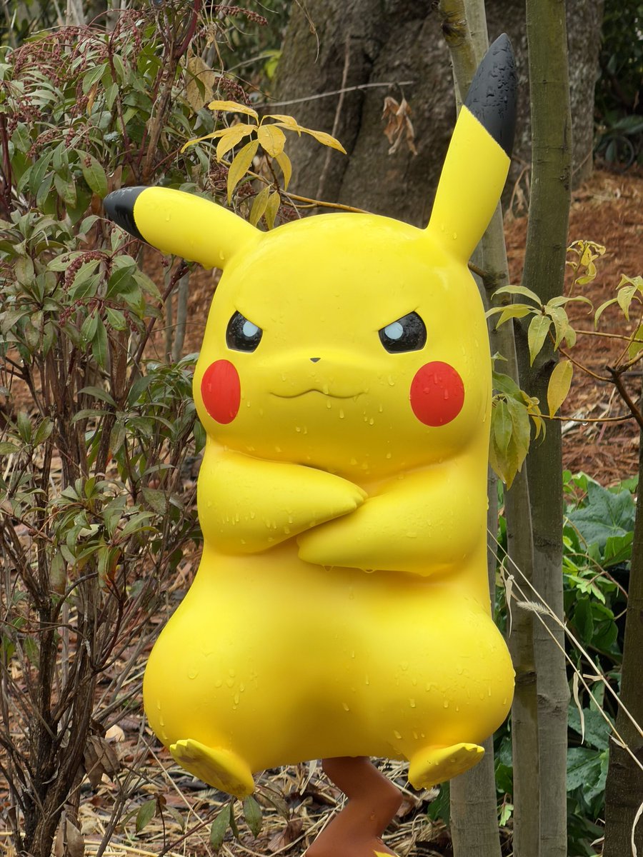 清順 (@seijyun09) / Posts / X