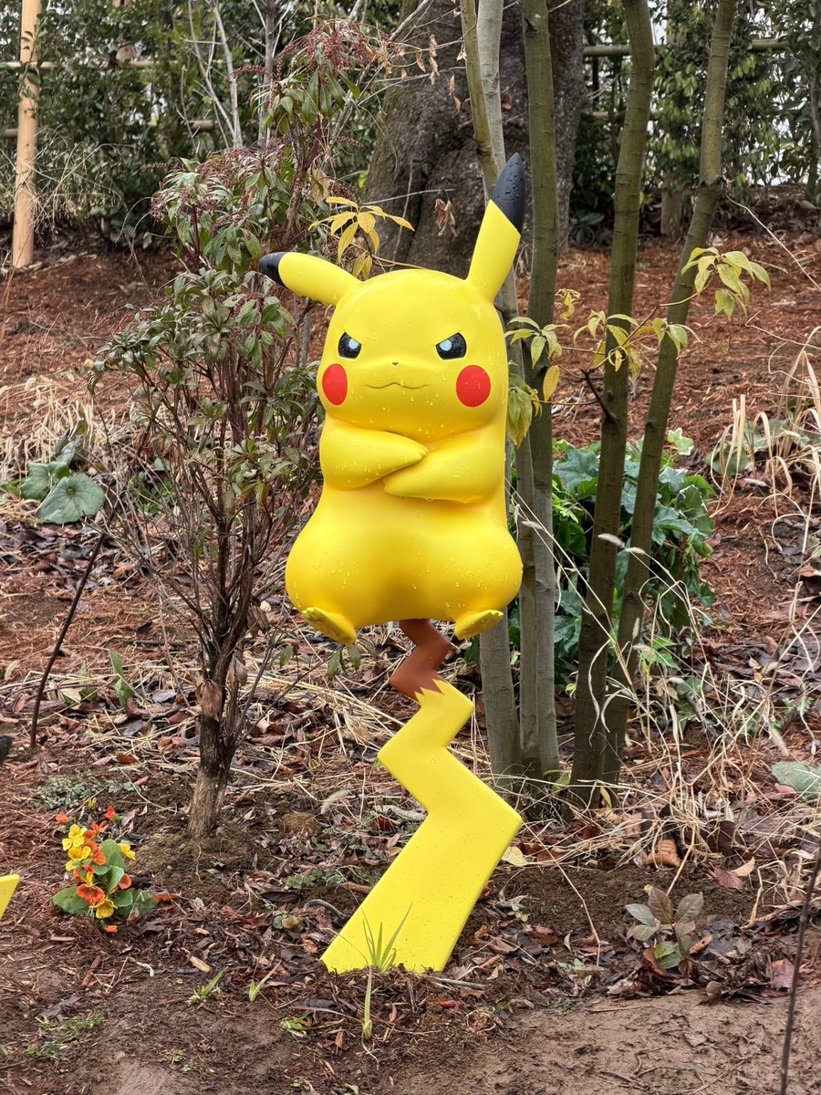 清順 (@seijyun09) / Posts / X