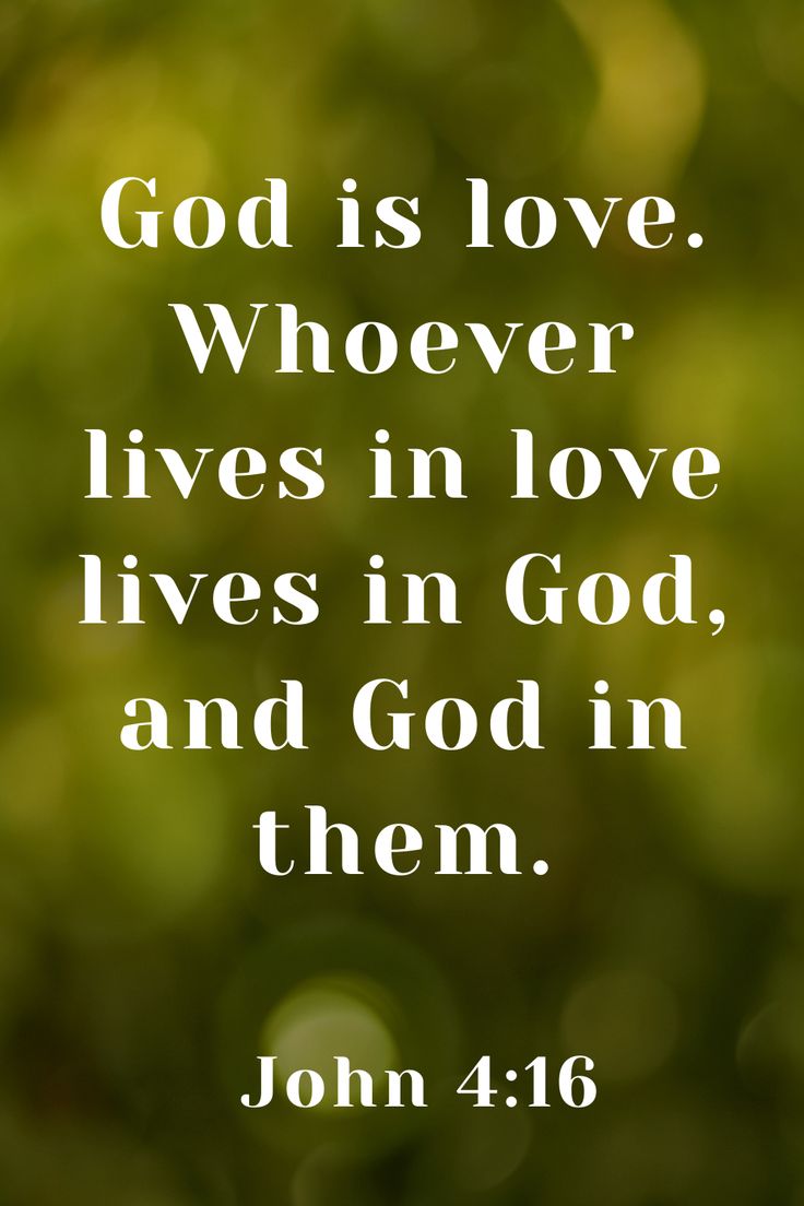 The Bible tweet media