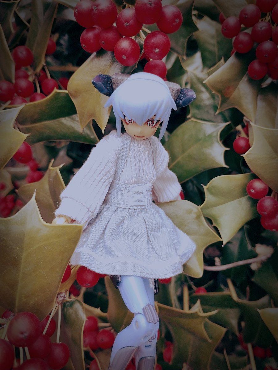 本日のうちの子 260211
#武装神姫
#busoushinki