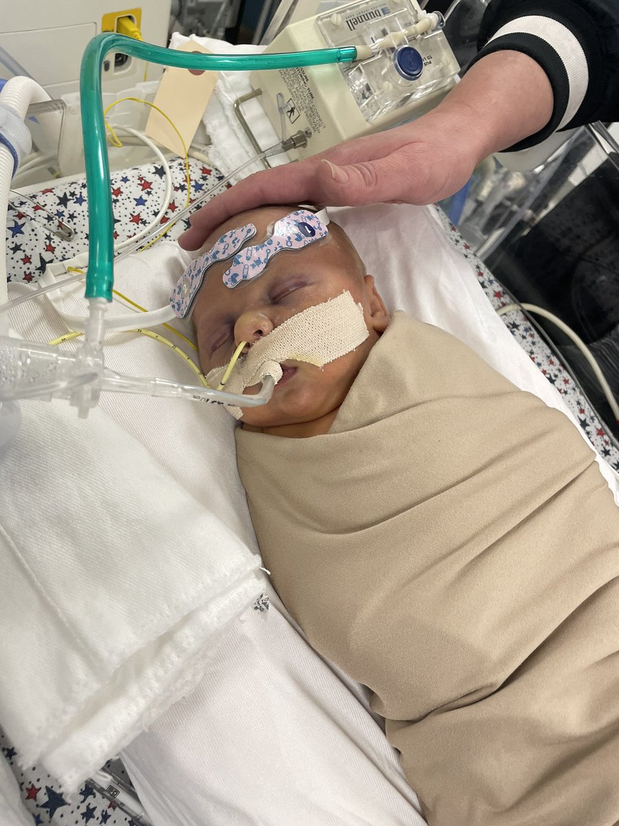 Jason Linde tweet media