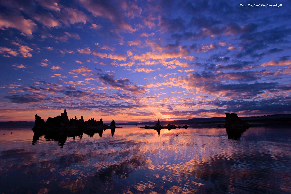 Tufa Dawning
Enter The Lake Tahoe Gallery
sean-sarsfield.pixels.com
Metal Prints  Canvas Wraps  Puzzles
Sweatshirts  Tote Bags  Towels
Phone Cases  Yoga Mats  TShirts
#Nature #Wolves #Dogs #Sierra #Hiking #Photography #Soul #Travel #Painting #Portraits #Craft #Art #WaterProtector