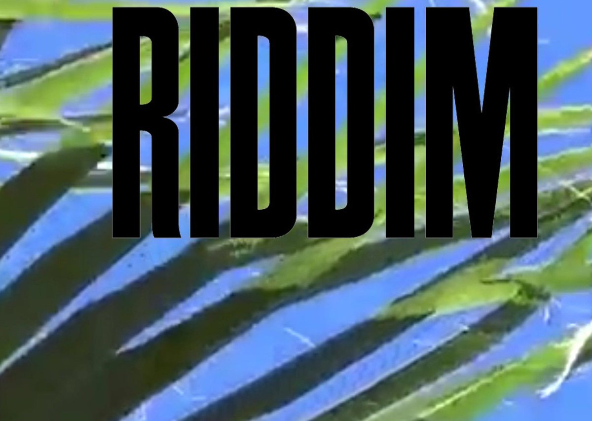 Got Deh Riddim But Many Lyrical Topics Clash Pon Mi Head........