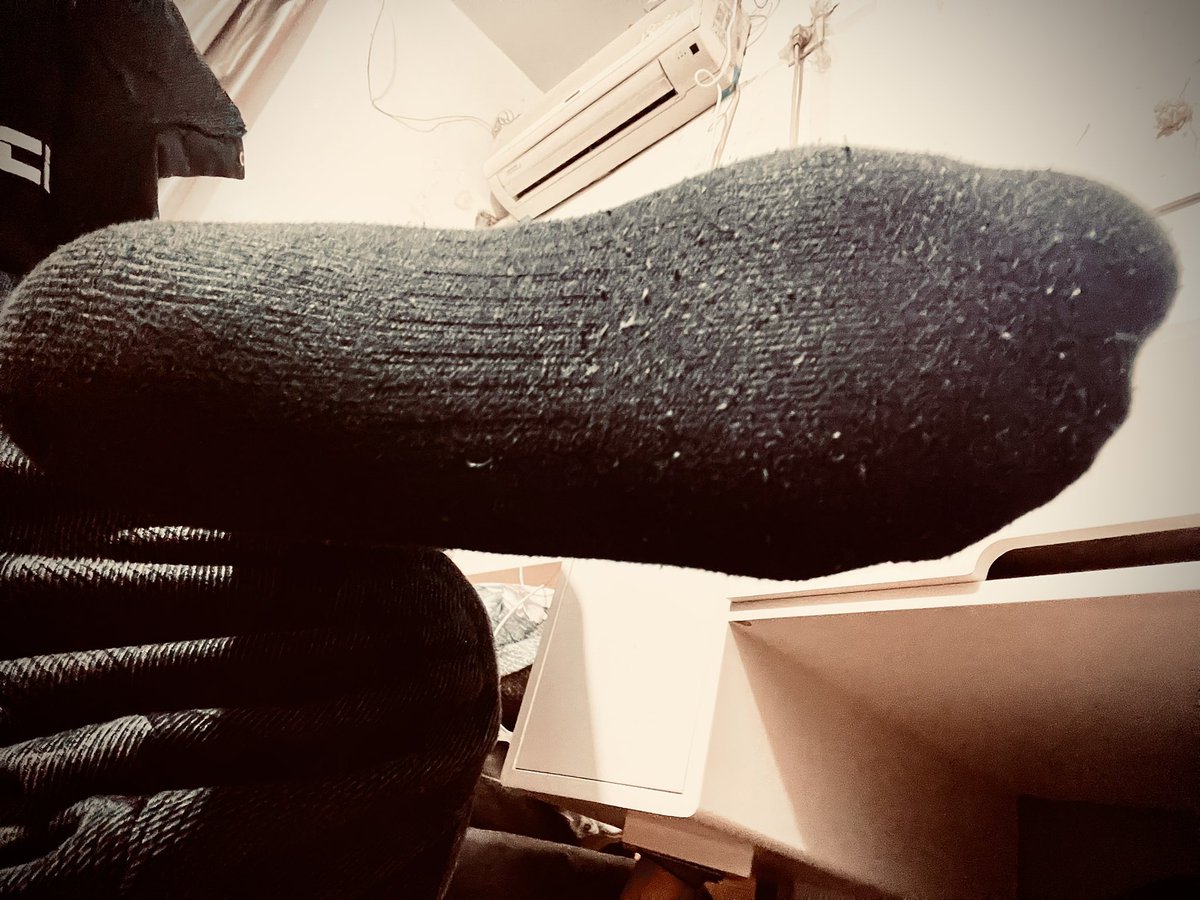 KingdomS tweet media