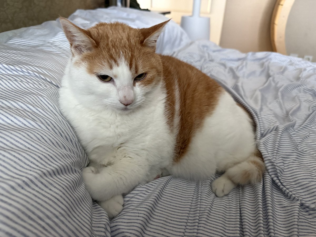 날 계속 따라다니면서 보글거리고 있음