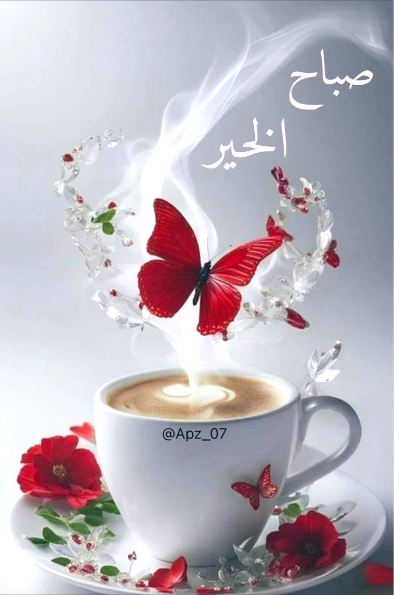 🤍"Ahm🅰️d" (@apz_07) on Twitter photo 