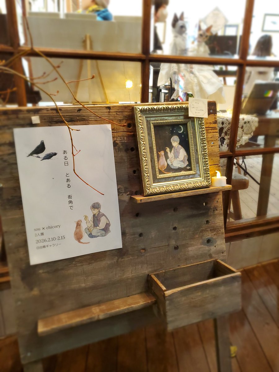 chicory(ちこり) tweet media