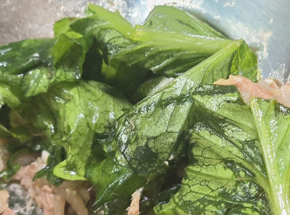 아.. 진짜... 큰일입니다. 🚨🚨🚨😭😭

배달음식 시킬때 쌈채소가 오면 "상추"는
다음날 참치 비빔밥을 종종 해먹는데요.

계란후라이에, 참치캔, 그리고 상추 팍팍 찢어서 넣고,
참기름에 초고추장 넣으면 극락입니다.

상추가 양이 많아 보여도 뜨거운 밥을 올리면 금방 숨이 죽어서 섞이게