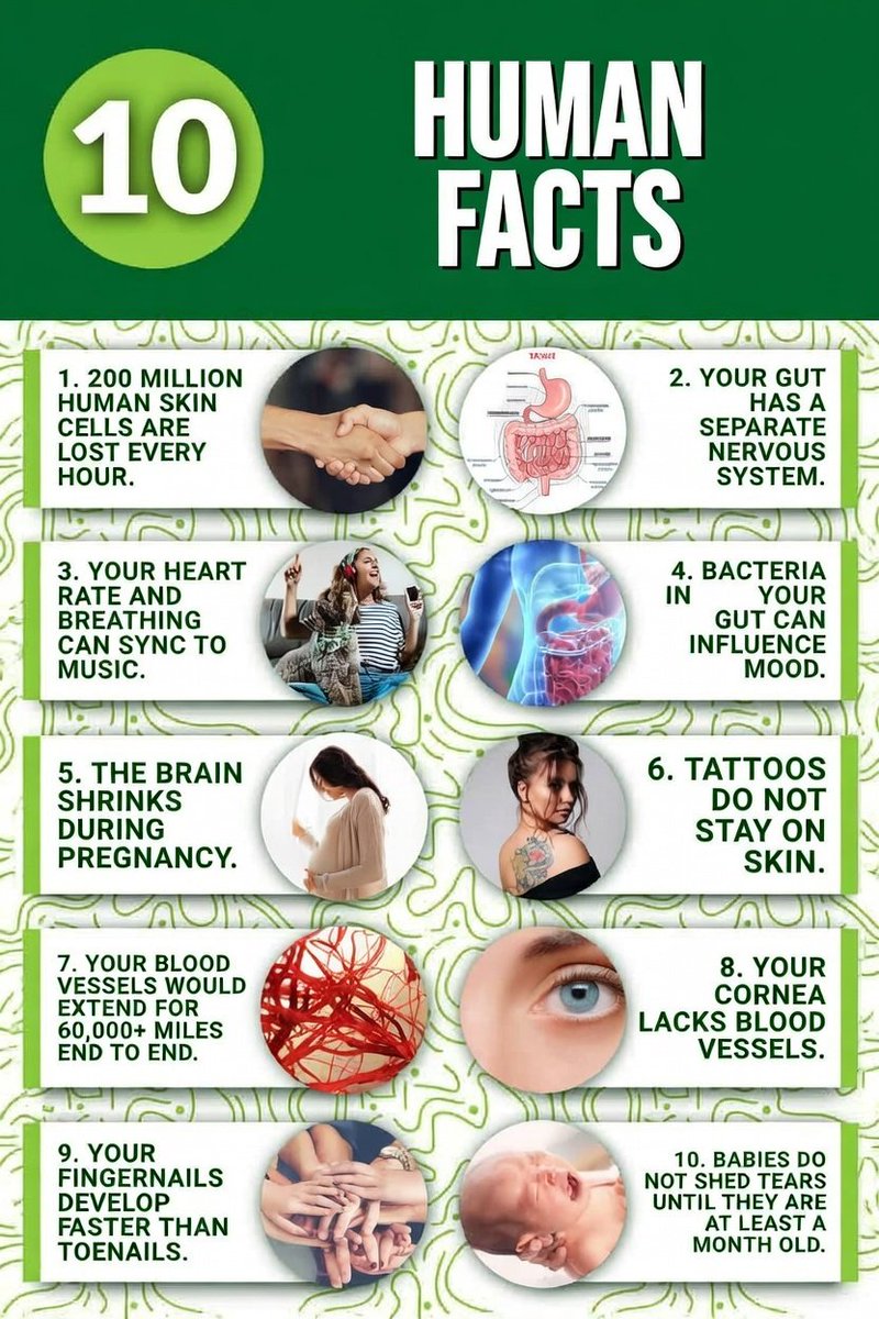 Do you know these human body facts?