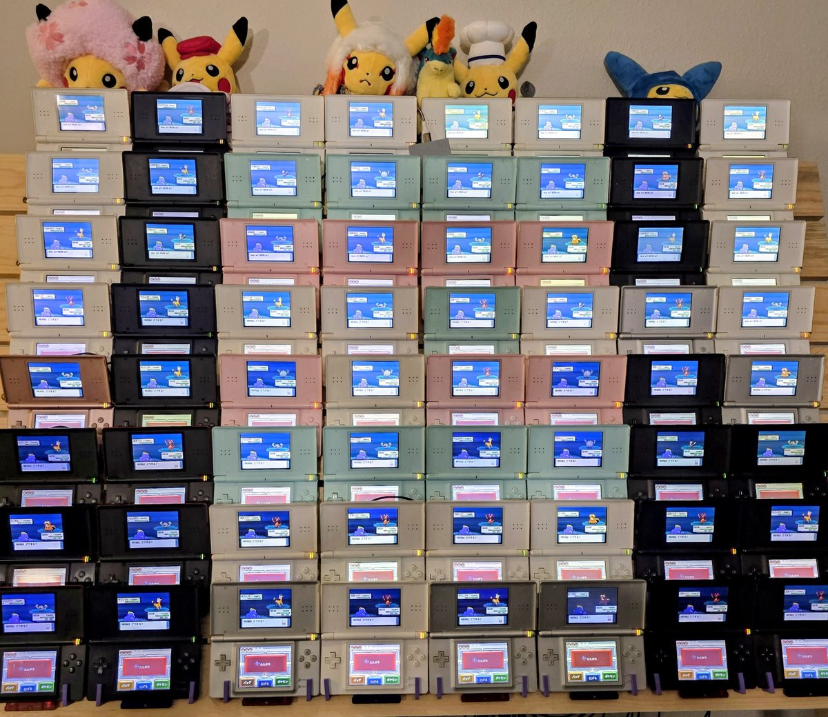 Kwikpanik, CEO of 8192 tweet media